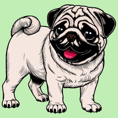 realistic pug