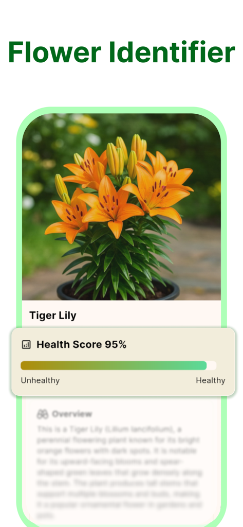 Plant Identifier - PlantScan - Interfaz de la aplicación móvil de PlantScan que muestra la identificación de un Lirio Tigre y una puntuación de salud del 95 por ciento.