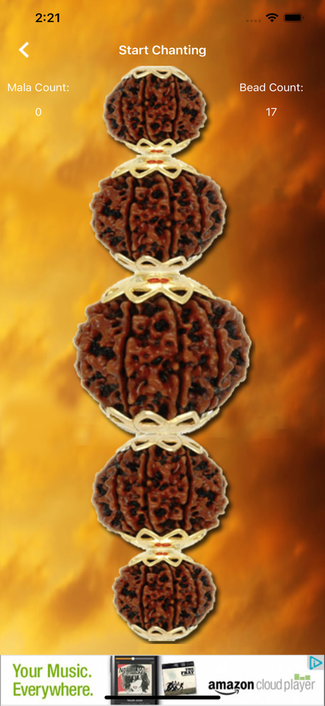 iNitnem Pro - Digital prayer beads on the iNitnem Pro app for tracking chanting counts