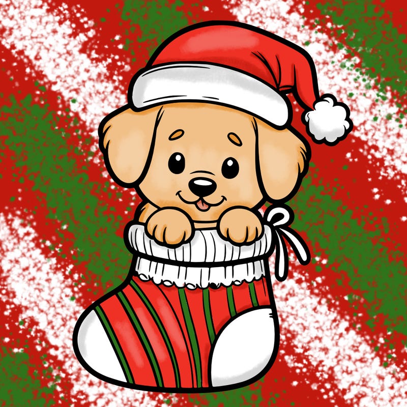 cute puppy wearing santa hat in socking