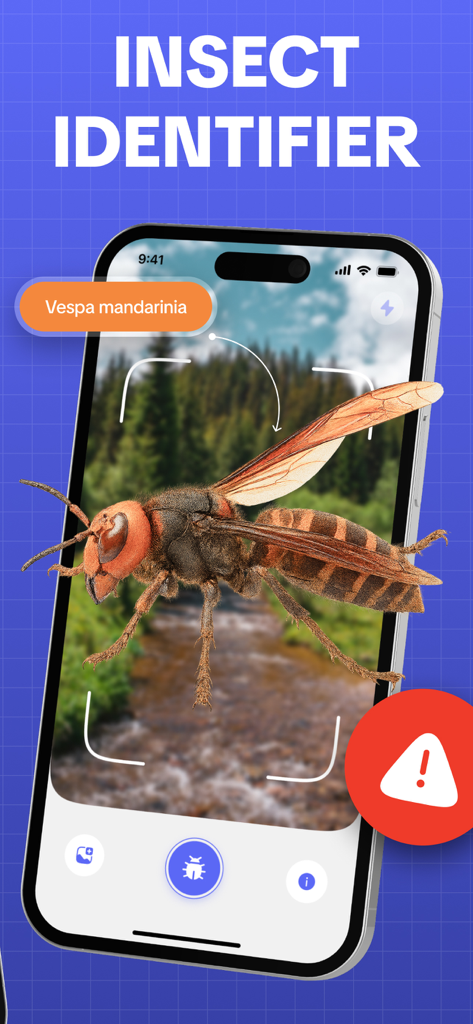 Insect Identifier: Picture Bug - Pantalla de la aplicación Identificador de Insectos que identifica un avispa con una señal de advertencia