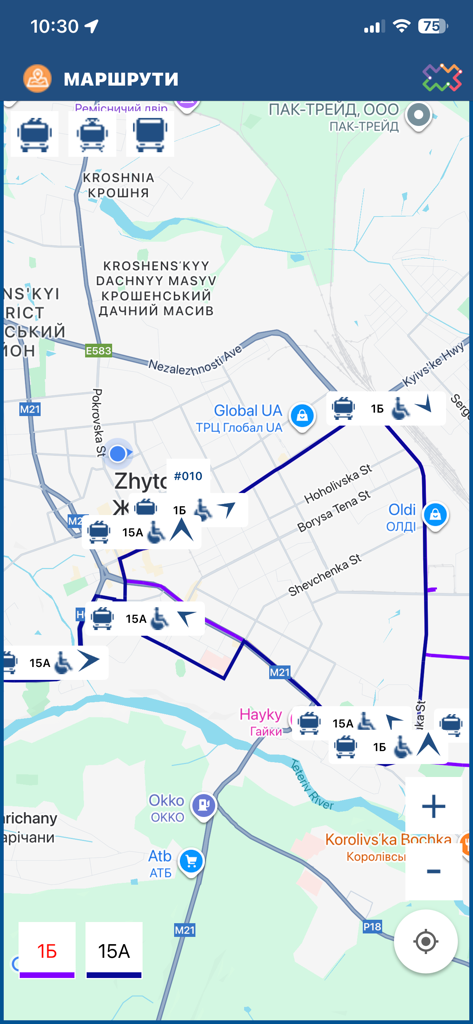 DozoR City - DozoR City app interface showing real-time public transport locations and routes on a city map with accessibility icons