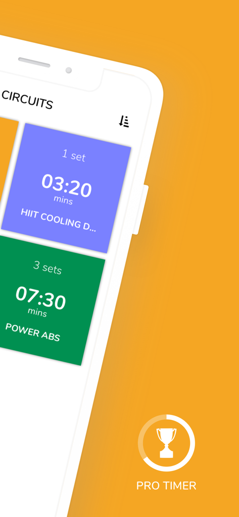 Tableau de bord minimaliste de l'application Pro Timer montrant des circuits d'entraînement fractionné et abdos puissants.