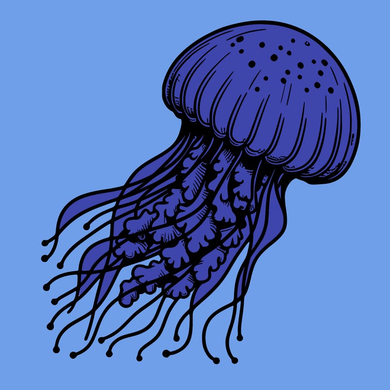 realistic jellyfish