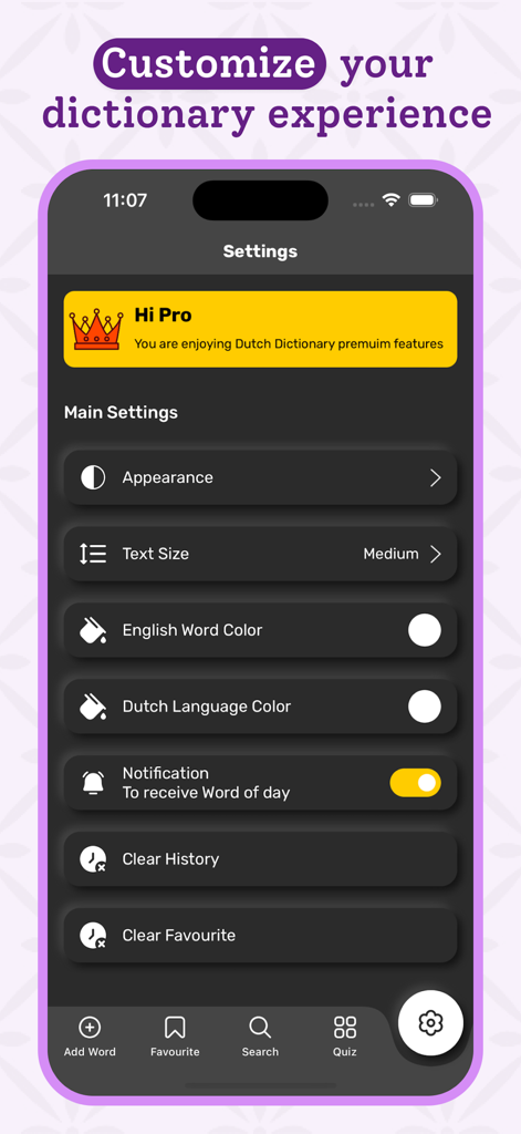 Dutch | Dutch Dictionary - Interface of the Dutch Dictionary app settings menu showing customization options