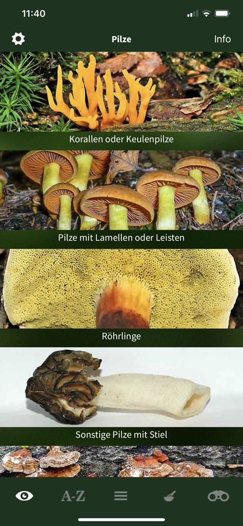 Schermata del telefono che mostra un menu visivo di tipi di funghi come funghi corallo e funghi a lamelle.
