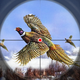 Pheasant Bird Hunting Game 3D