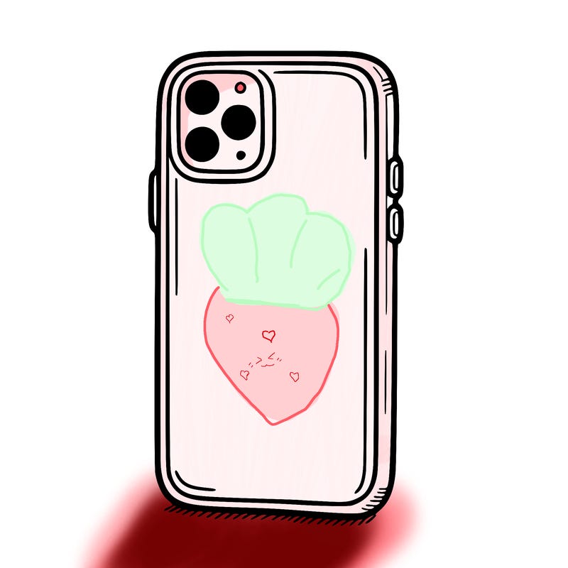 phone case