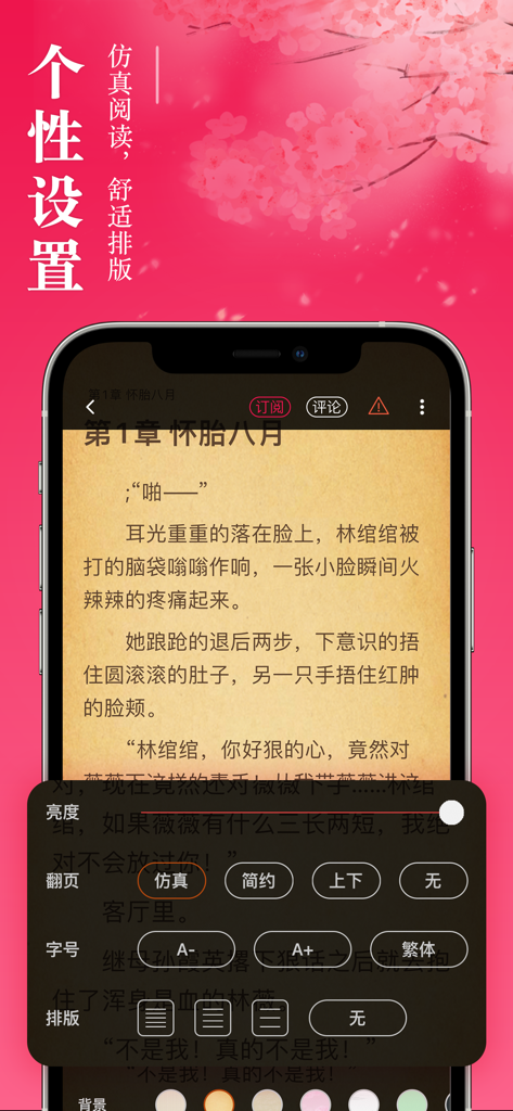 Mobile app interface showing customizable reading settings like font size and background color for Chinese web novels