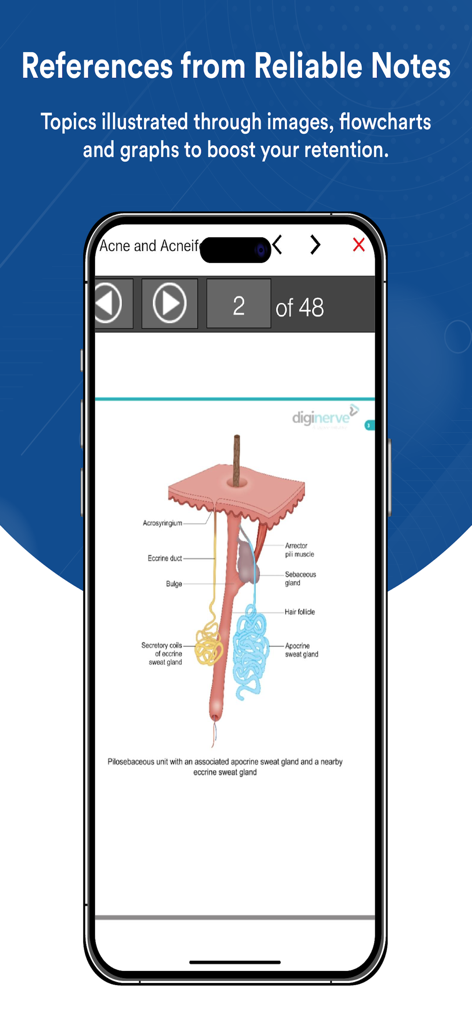 Dr.Wise - Dr. Wise mobile app screen showing a detailed anatomical diagram of a skin follicle from reliable medical notes.