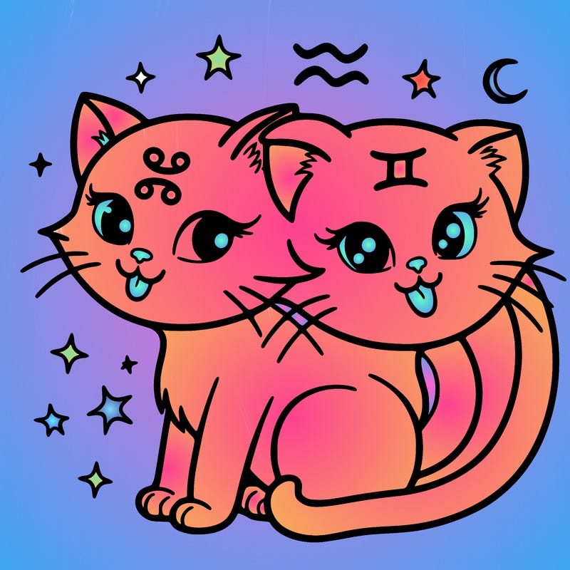 gemini cat
