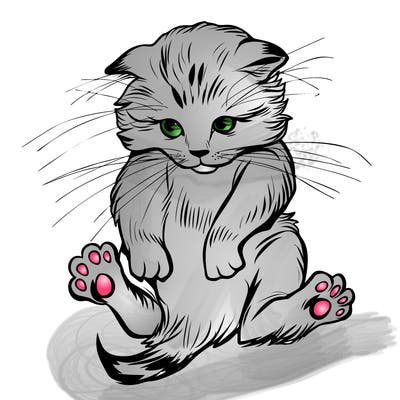 animals_20