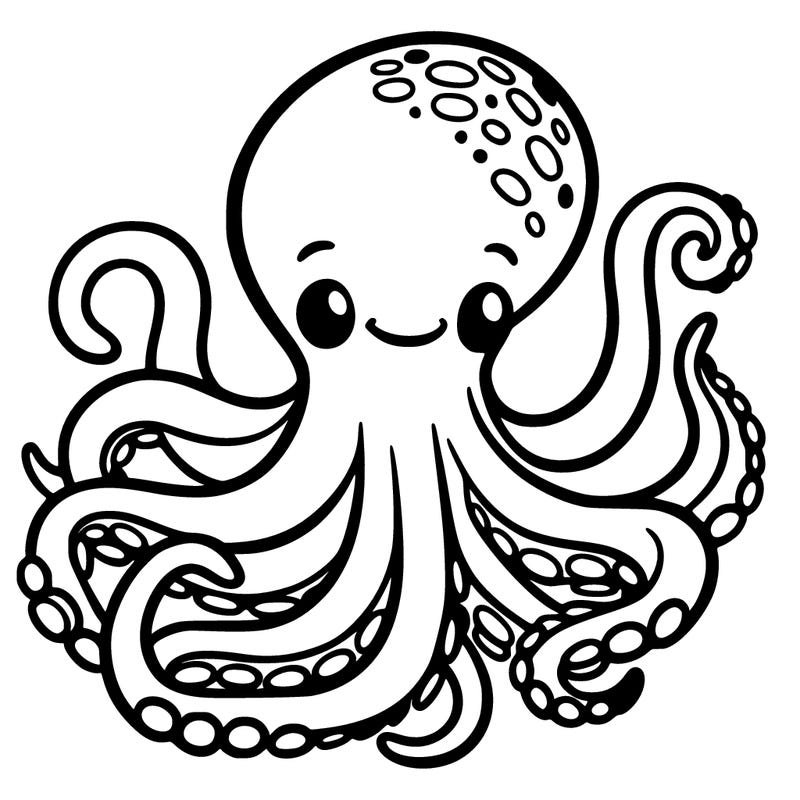 octopus