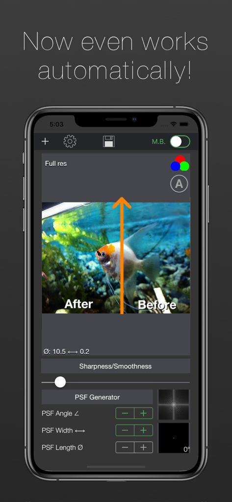 A screenshot of the Image Deblur app showing a before and after comparison of a blurry fish photo with technical deconvolution controls