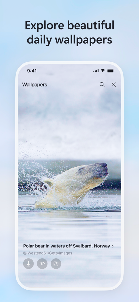 Schermata dell'app Microsoft Bing Search che visualizza la funzionalità dello sfondo giornaliero con un'immagine di un orso polare a Svalbard, Norvegia