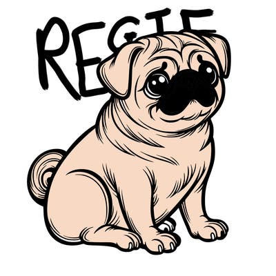 pug