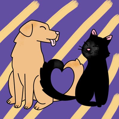 animals_22