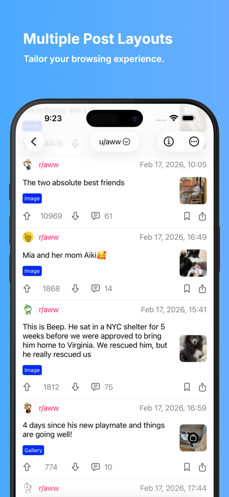 Infinity for Reddit app interface showing a clean list of posts with multiple layout options for a tailored browsing experience.