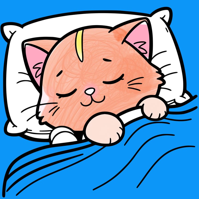 sleepy%20cat