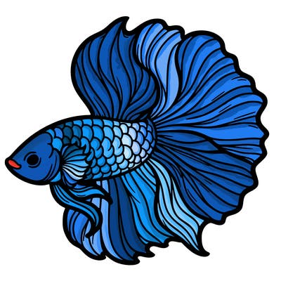 betta fish
