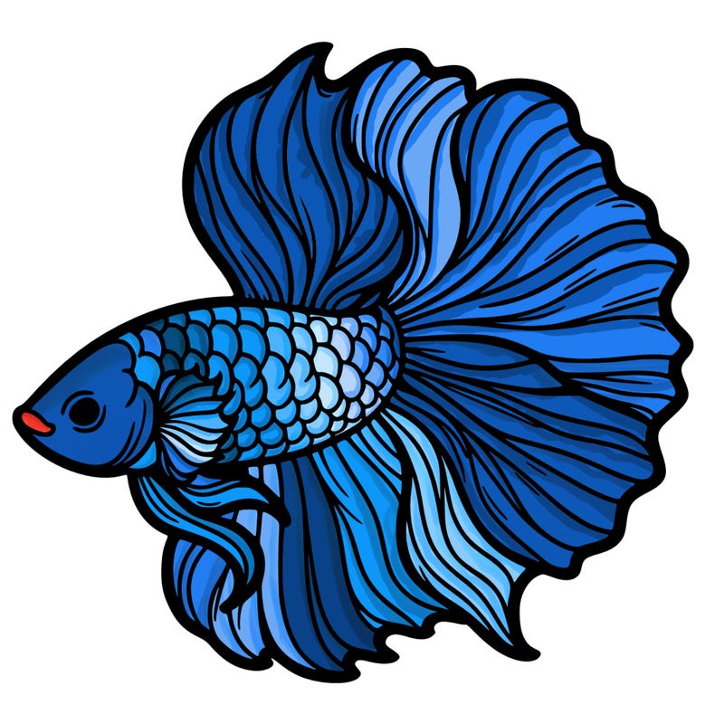 betta fish