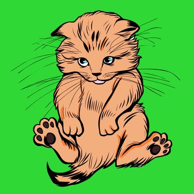 animals_20