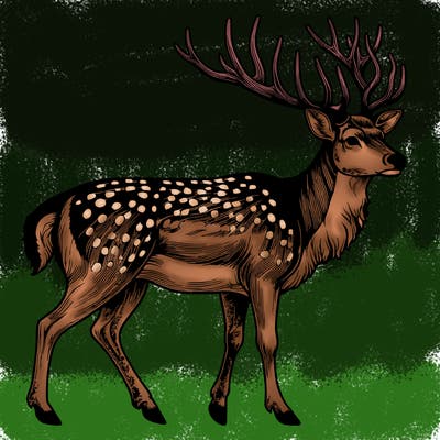 realistic deer