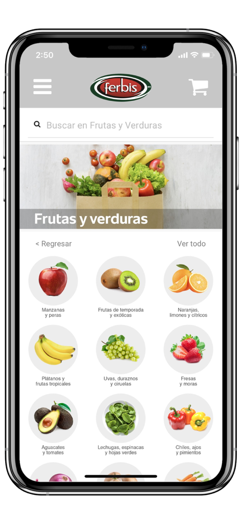 Ferbis - Ferbis mobile app screen showing fruit and vegetable categories like apples, citrus, grapes, and avocados with clear icons.