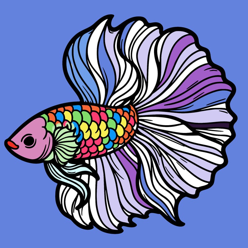 betta fish