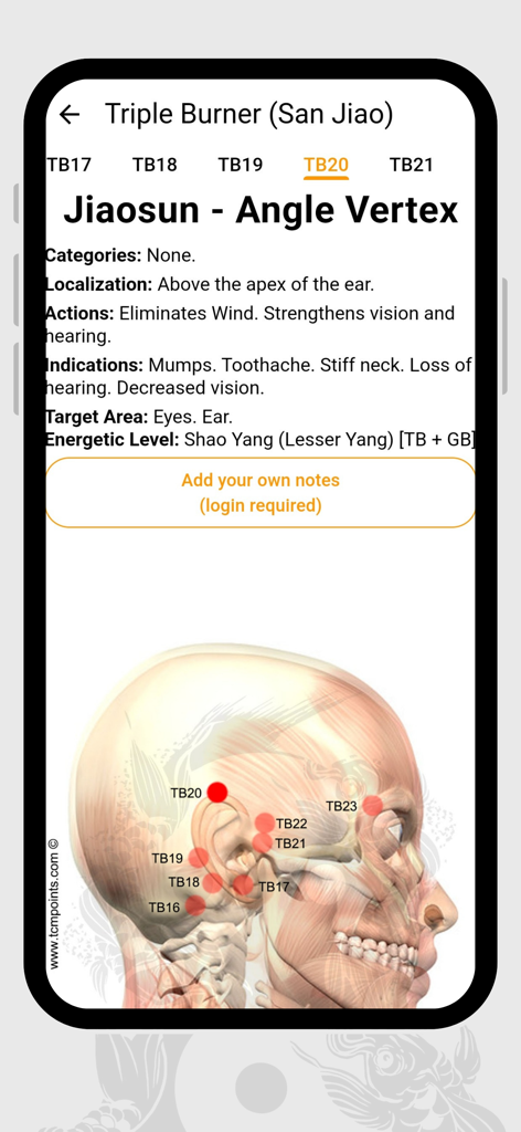 Acupuncture Assistant - Mobile screen showing detailed information and anatomical localization for acupuncture point TB20 on the head.