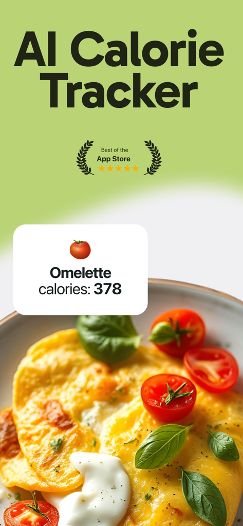 Food Calorie Tracker: Holli AI - AI calorie tracker app interface showing 378 calories for an omelette