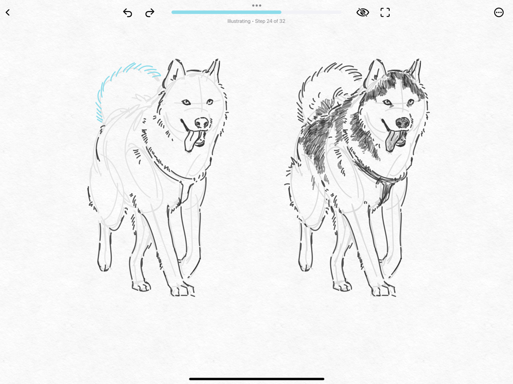 Step by step drawing of a husky on the ShadowDraw iPad app