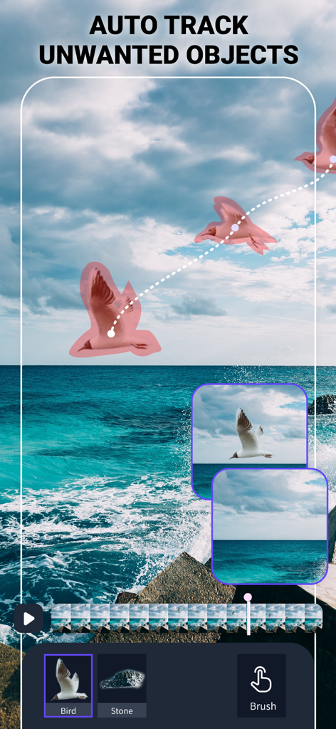 Video Eraser & Remove Objects - A mobile app interface demonstrating AI auto tracking to remove a flying bird from a video.