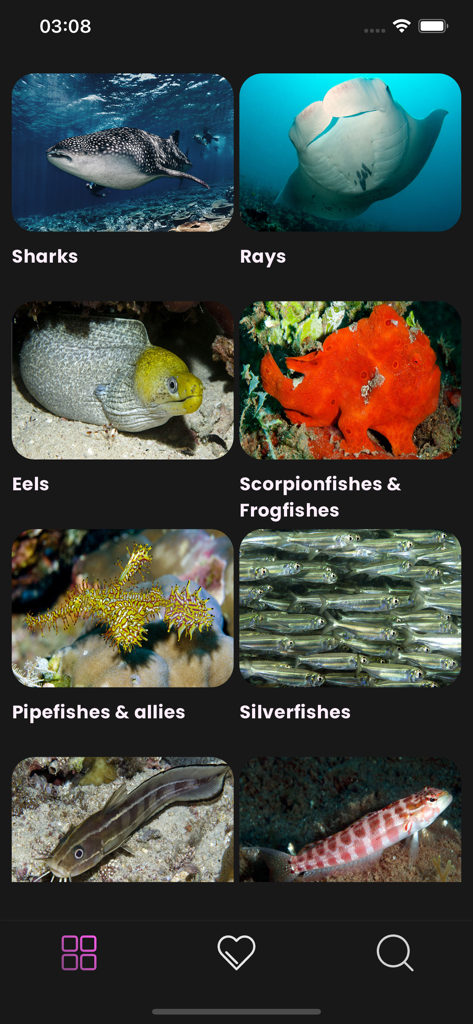 Maldivian Fish Guide - Interface de l'application Maldivian Fish Guide montrant diverses catégories de vie marine comme les requins, les raies et les anguilles avec des photos sous-marines de haute qualité.