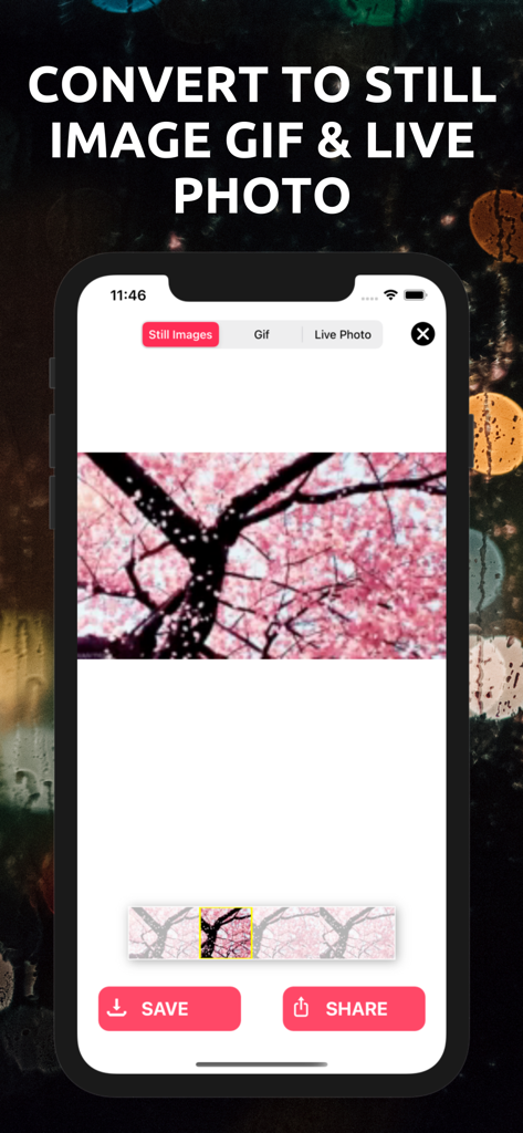 Gif Converter : Live Wallpaper - Interface of the Gif Converter app showing the tool to extract a still image from a video of pink blossoms