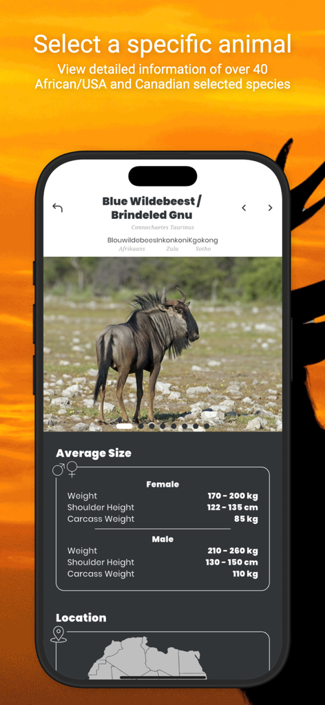 International Hunters - Mobile app screen showing a Blue Wildebeest species profile with size and location data