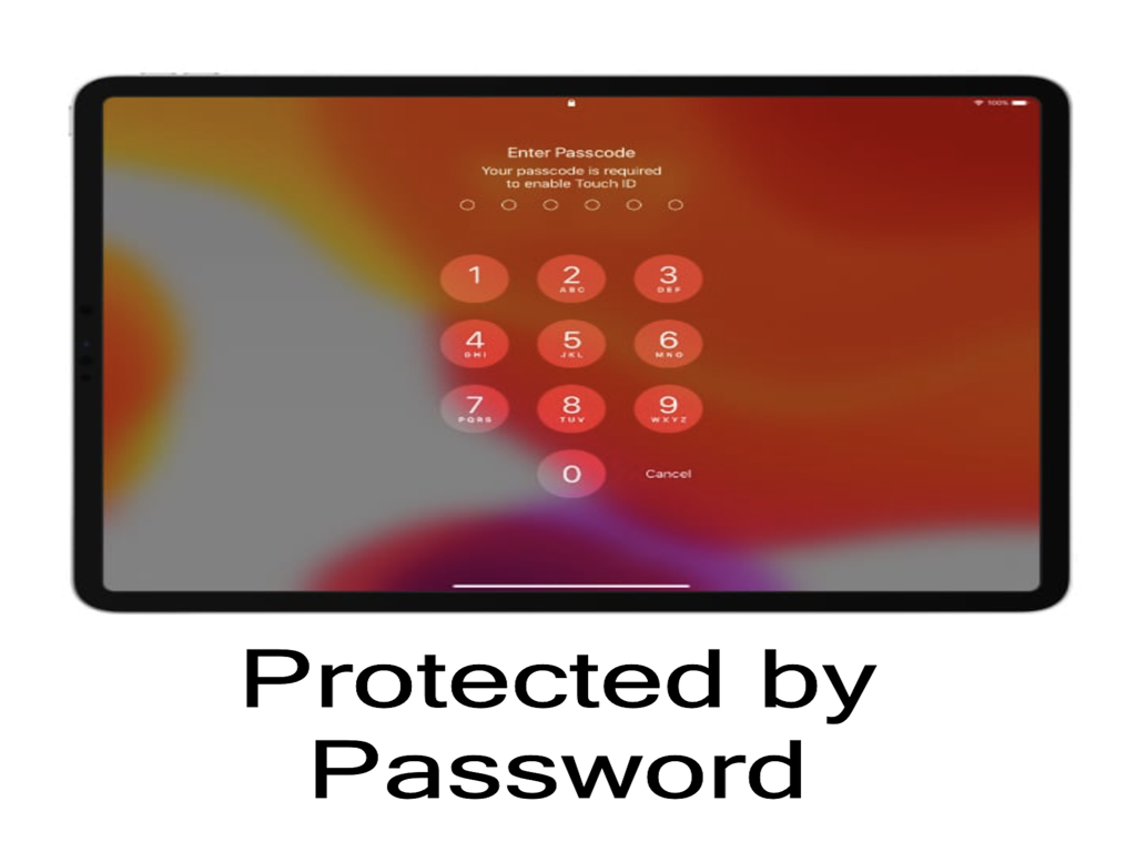 InsPad for Instagram - iPad의 InsPad for Instagram 보안 잠금 화면