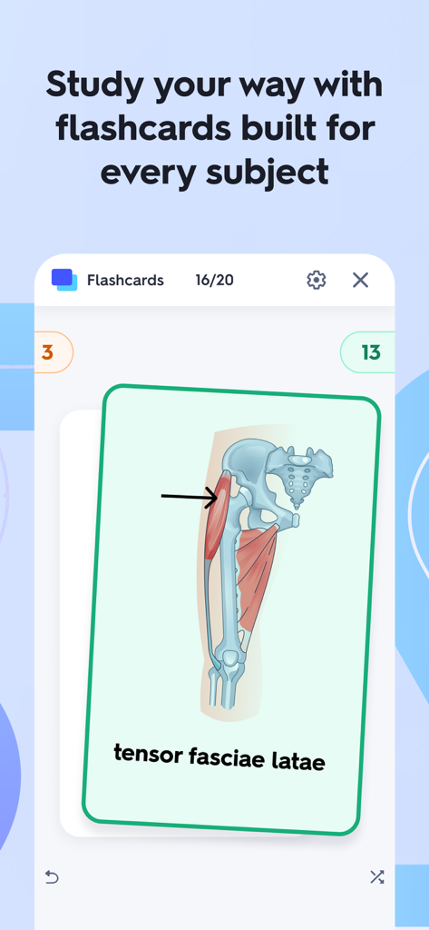 Interface de l'application Quizlet affichant une fiche de révision d'anatomie avec un schéma de la hanche et le nom du muscle tenseur du fascia lata.