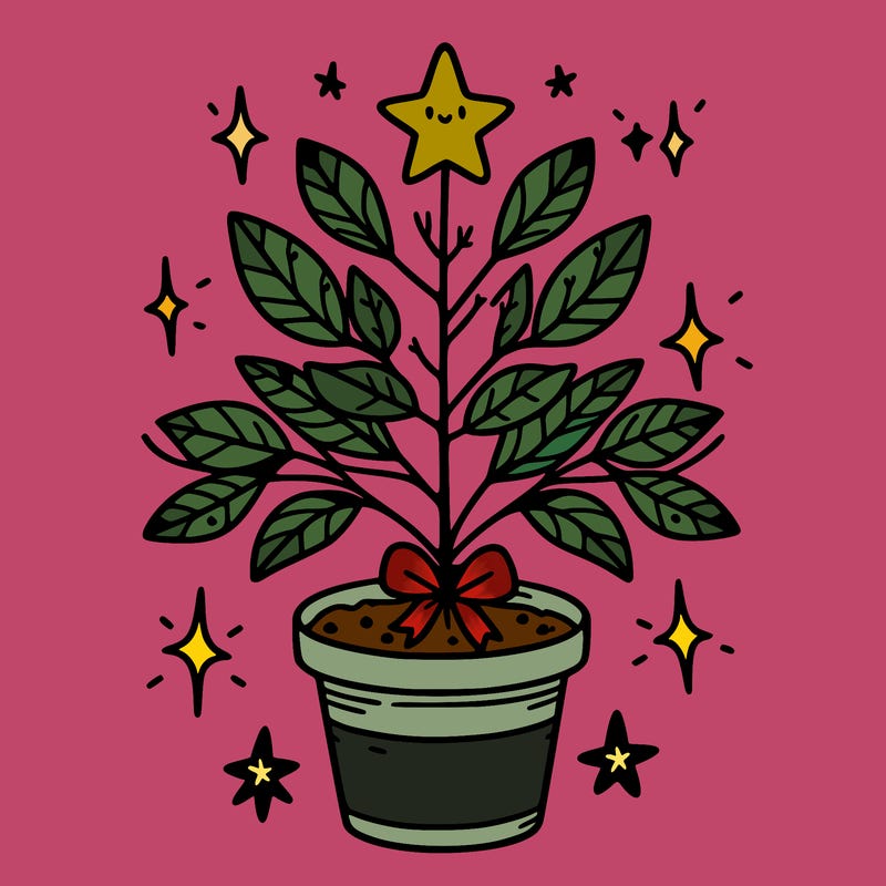 christmas plant