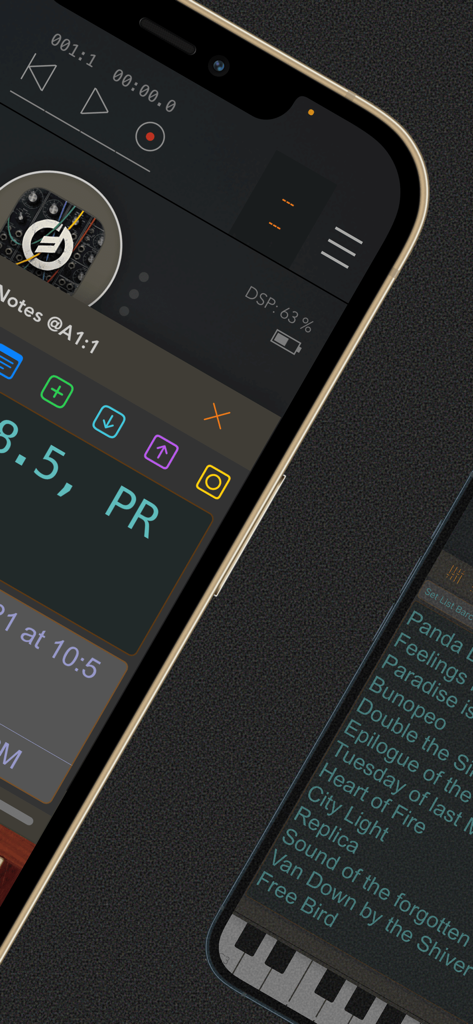 Session Notes AU - Aplicación Session Notes AU mostrando notas de producción musical y una lista de set en un iPhone
