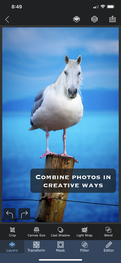 A surreal photo composite of a horse head on a bird body in the Superimpose X mobile app interface.