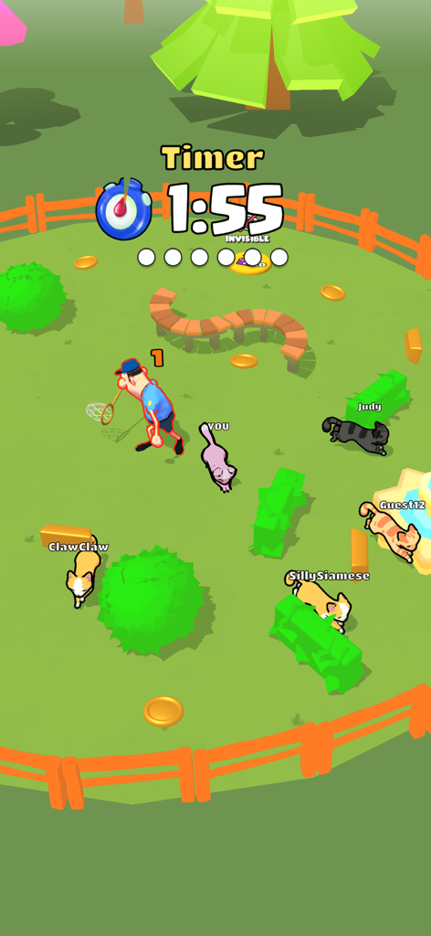 Purrfect Cat Escape: Hide Seek - Cute cartoon cats running from a chaser in a colorful 3D garden.