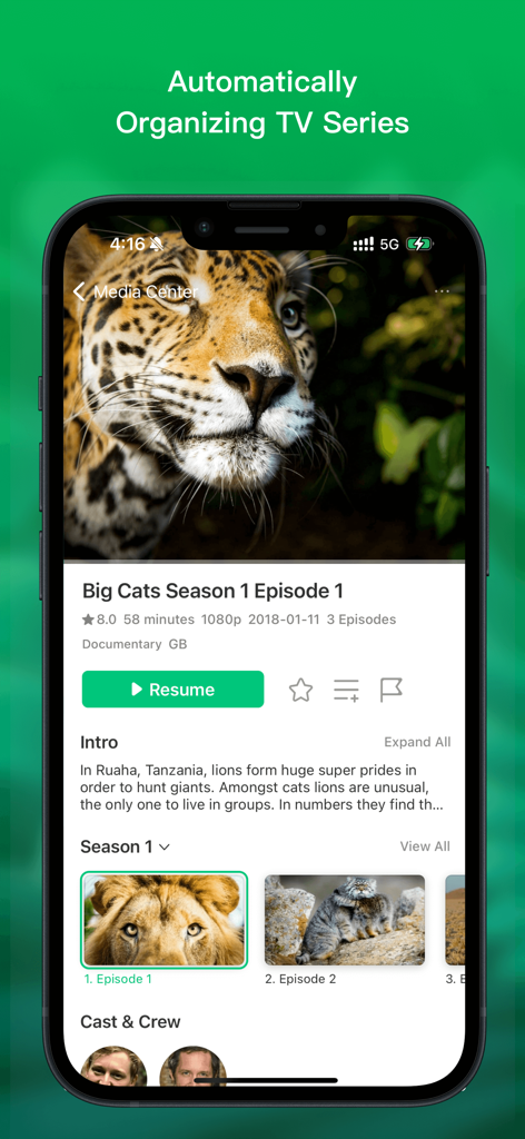 VidHub app interface on iPhone automatically organizing a TV series with metadata, ratings, and episode lists.