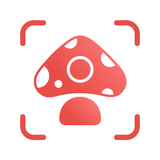 Picture Mushroom: Identifier