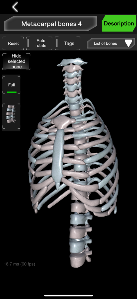 Bones 3D (Anatomy) - Education App | MWM