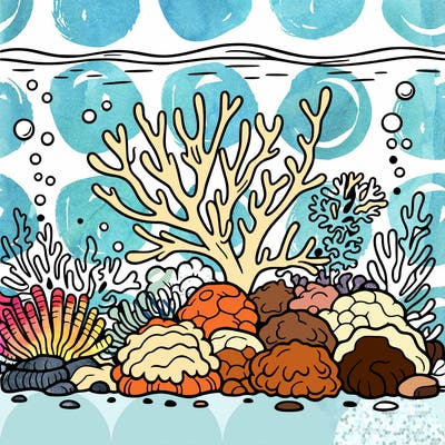 coral-reef out line