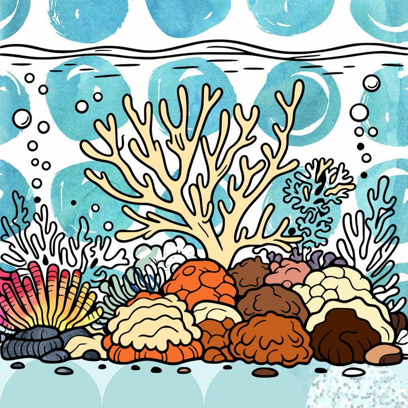 coral-reef out line