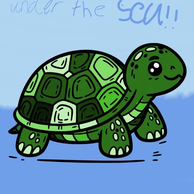 turtle