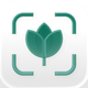 Plant AI · Plant Identifier