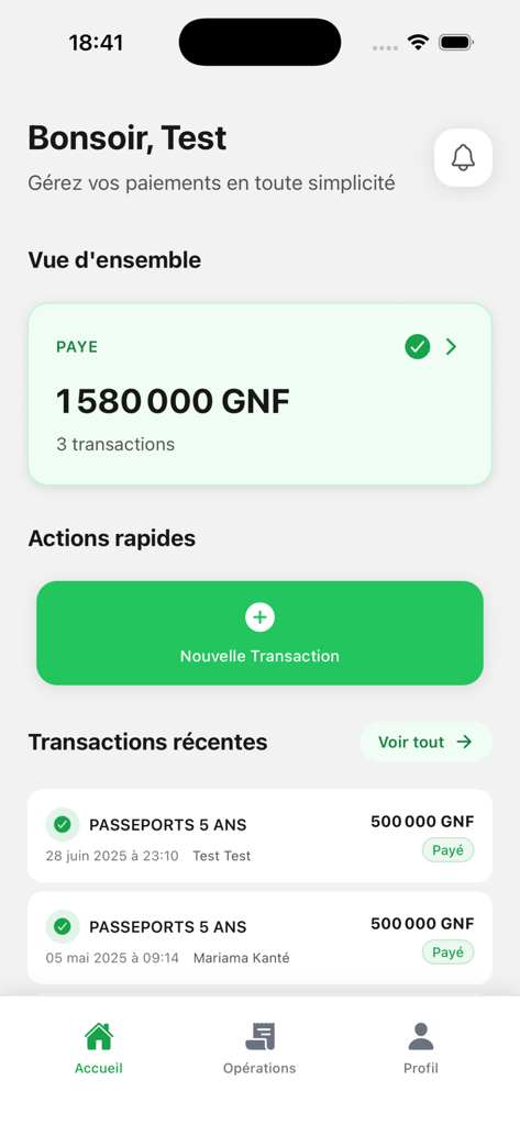 TresoPay - TresoPay mobile app dashboard displaying a summary of payments and recent passport transaction history